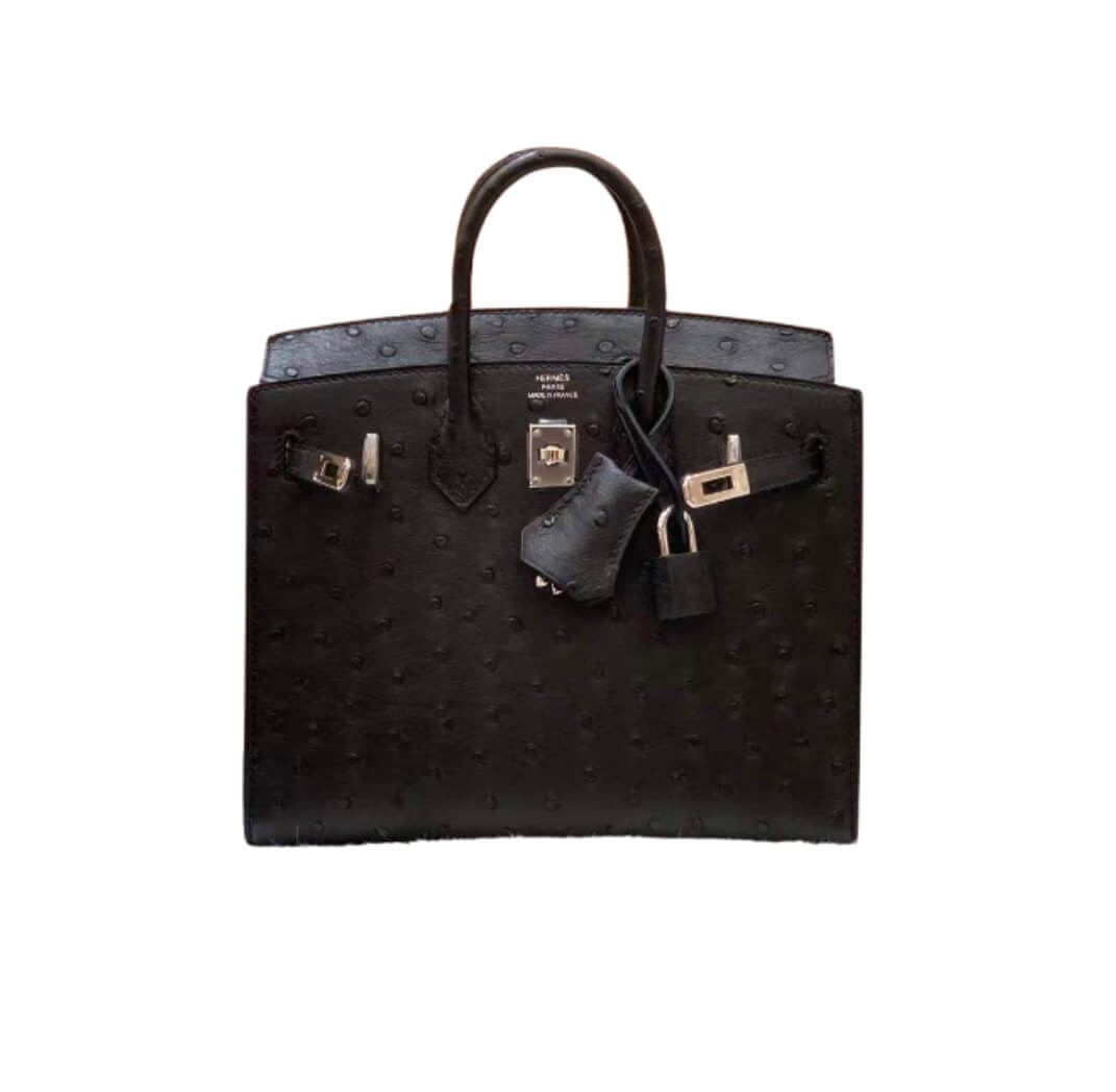 Hermès Birkin 25 Sellier Noir Ostrich &Palladium Hardware