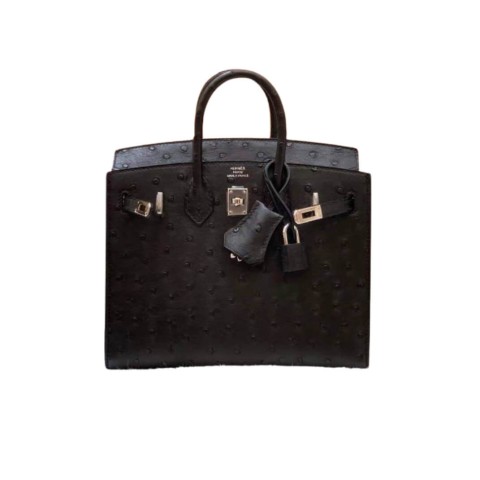 Hermès Birkin 25 Sellier Noir Ostrich &Palladium Hardware