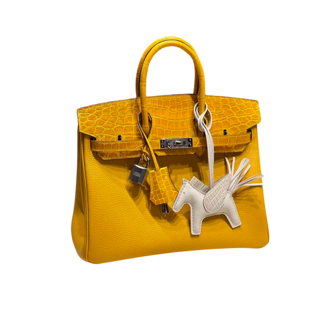 Hermès Birkin20 Jaune Ambre Shiny Alligator and Togo Touch&Palladium Hardware