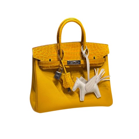 Hermès Birkin20 Jaune Ambre Shiny Alligator and Togo Touch&Palladium Hardware