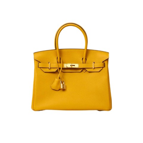 Hermès Birkin25 Jaune Ambre Togo&Gold Hardware