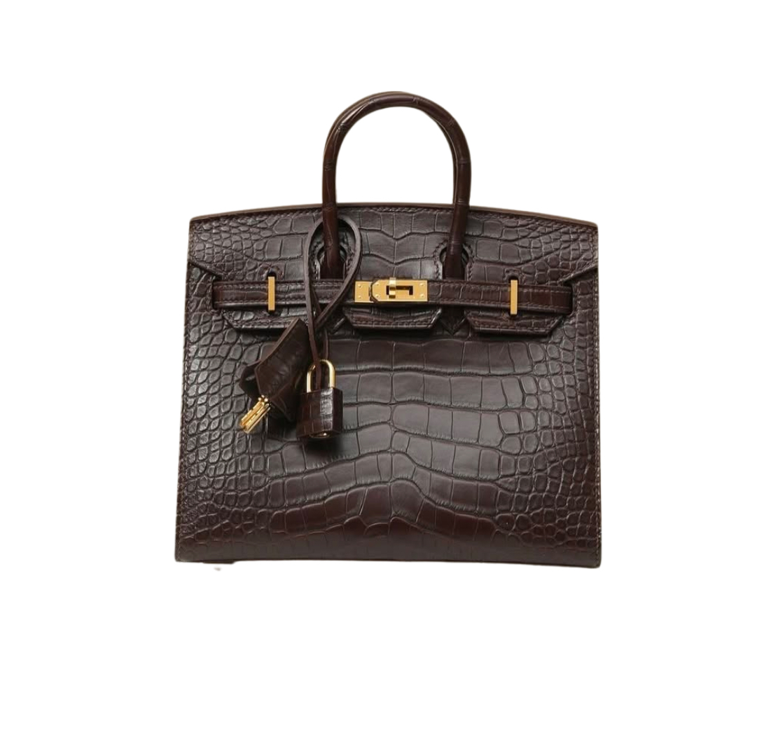 Hermès Birkin20 Silver Ebene Matte Crocodile&Gold Hardware