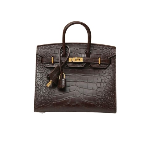 Hermès Birkin20 Silver Ebene Matte Crocodile&Gold Hardware