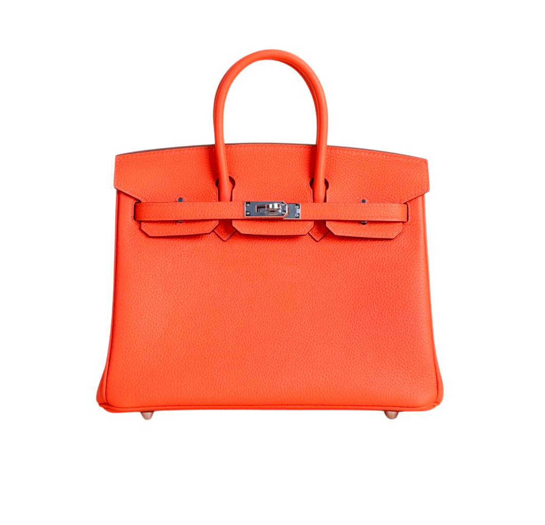 Hermès Birkin25 Capucine Togo&Palladium hardware