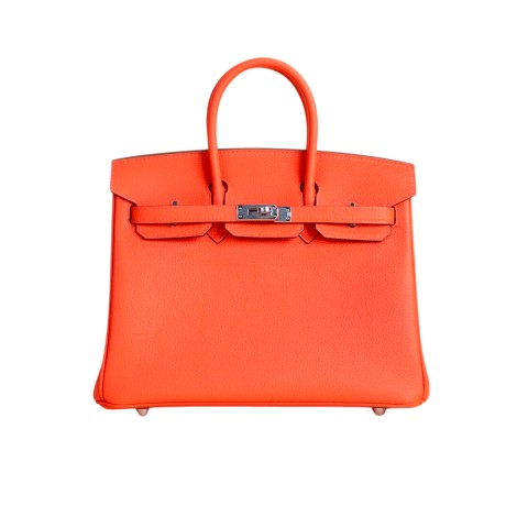 Hermès Birkin25 Capucine Togo&Palladium hardware